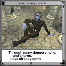 Watch out for the tortoise