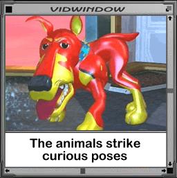 Driver's license photo