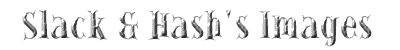 Slack & Hash's Images